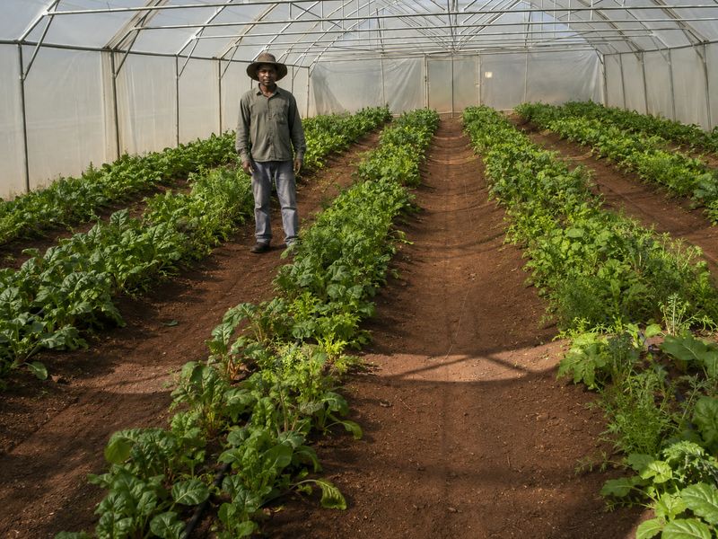 Food Garden — Bronkhorstspruit